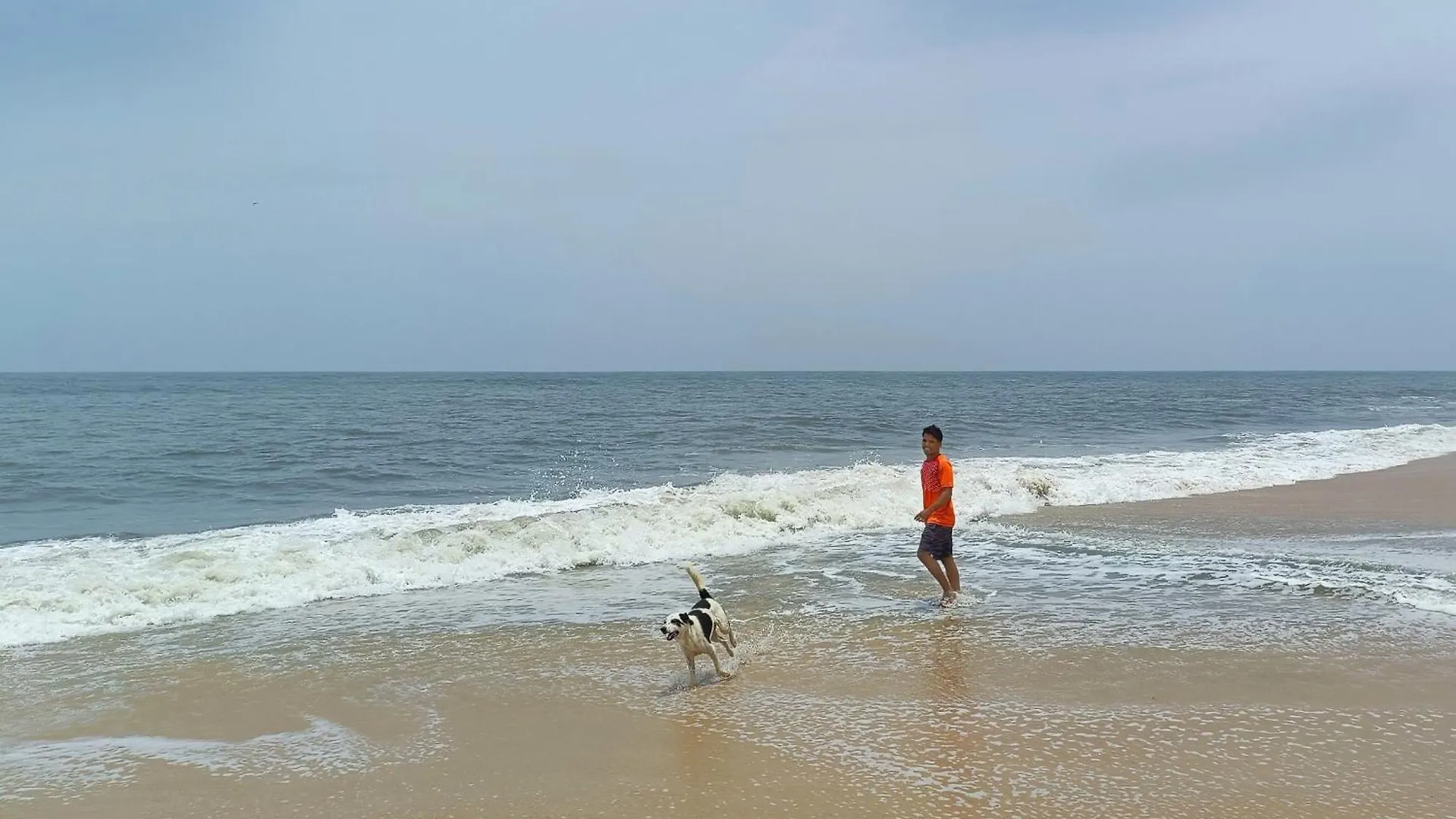 Marari Beach Cleetus Homestay Mararikulam 0*,