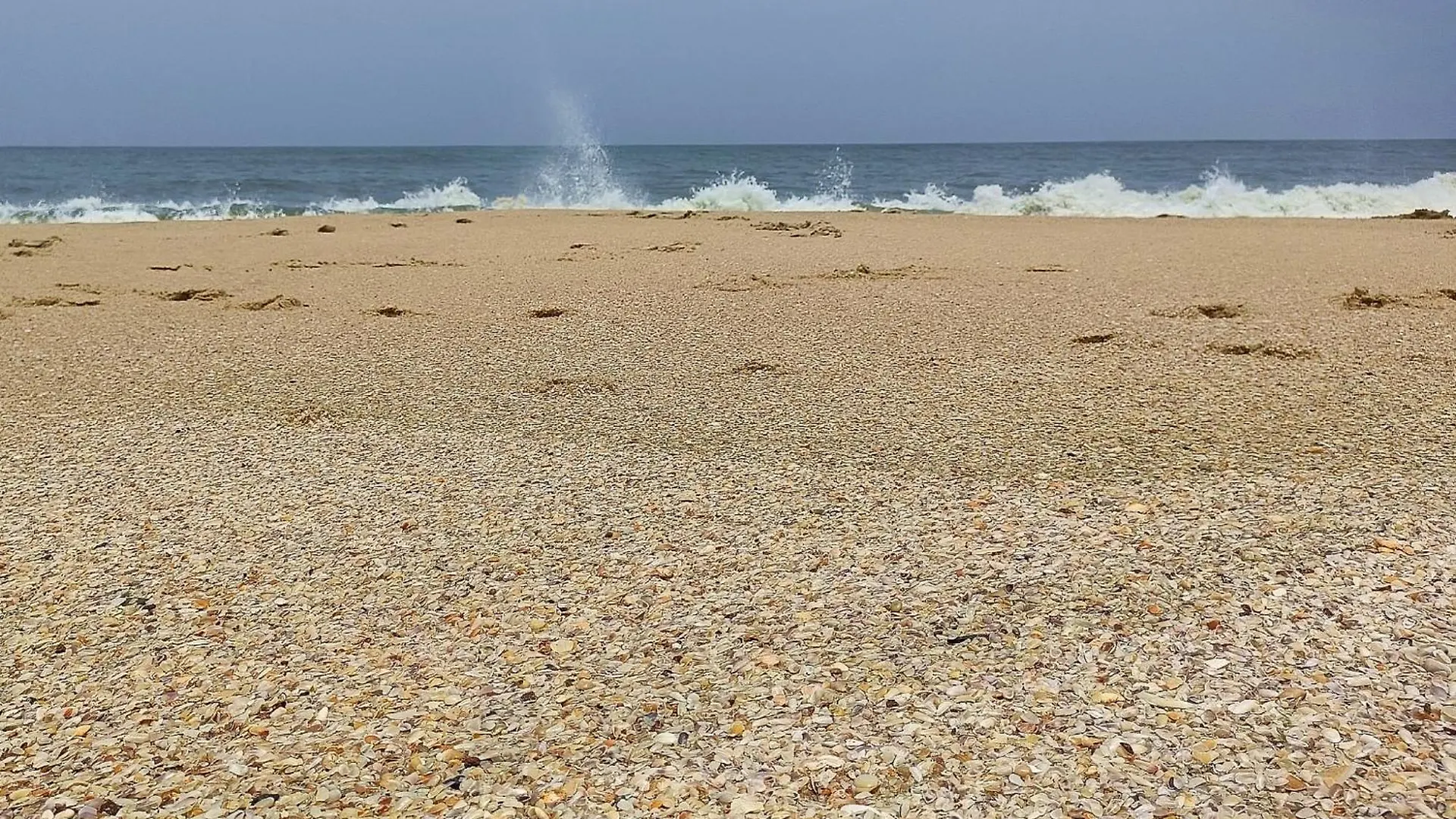 Marari Beach Cleetus Homestay Mararikulam